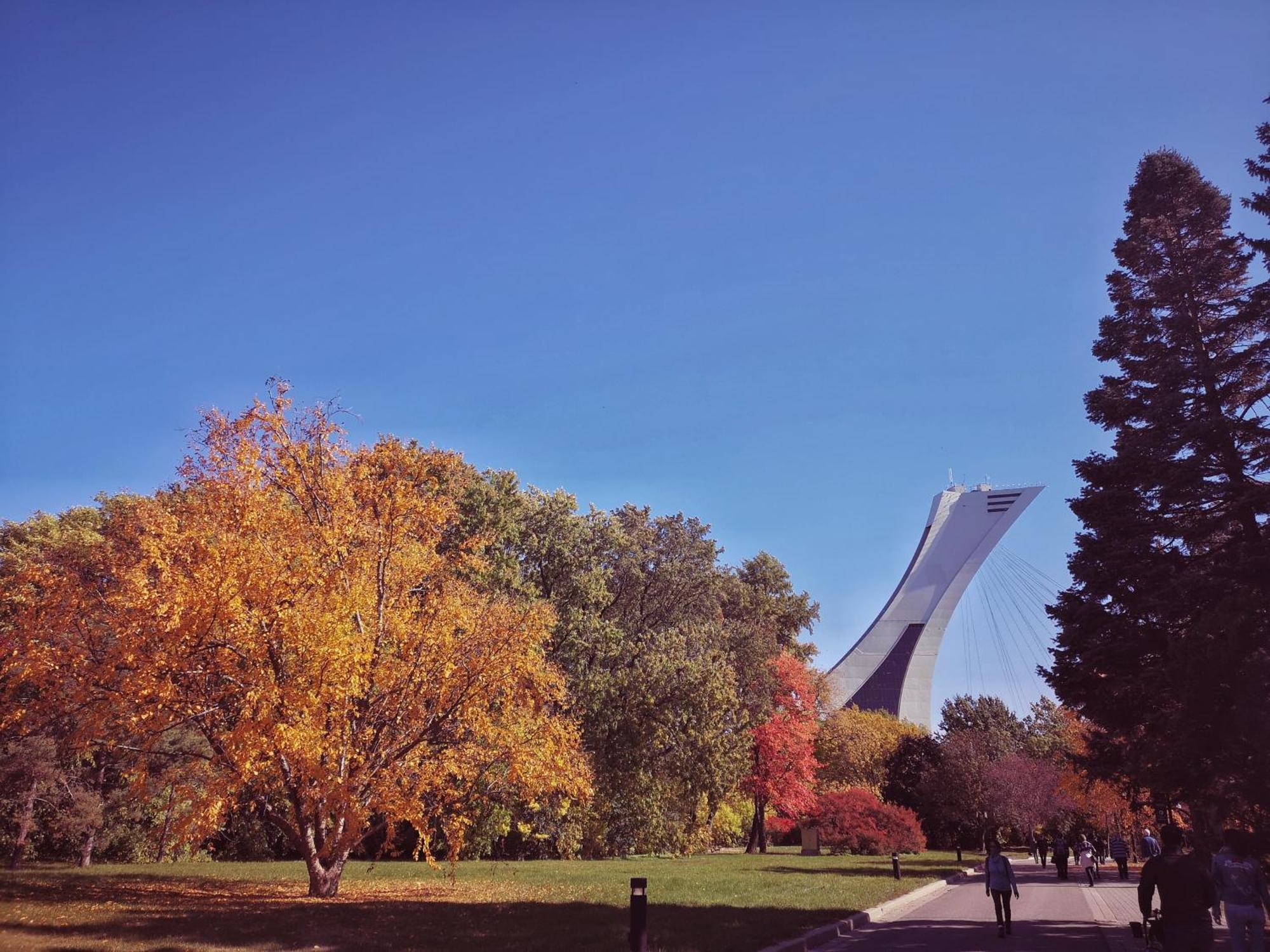 Homa Homestay Hotel By Olympic Stadium Montreal Auberge-Hostel 외부 사진